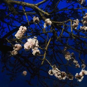 美女流出尿来黄片
