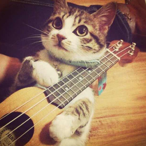 美女流出尿来黄片
